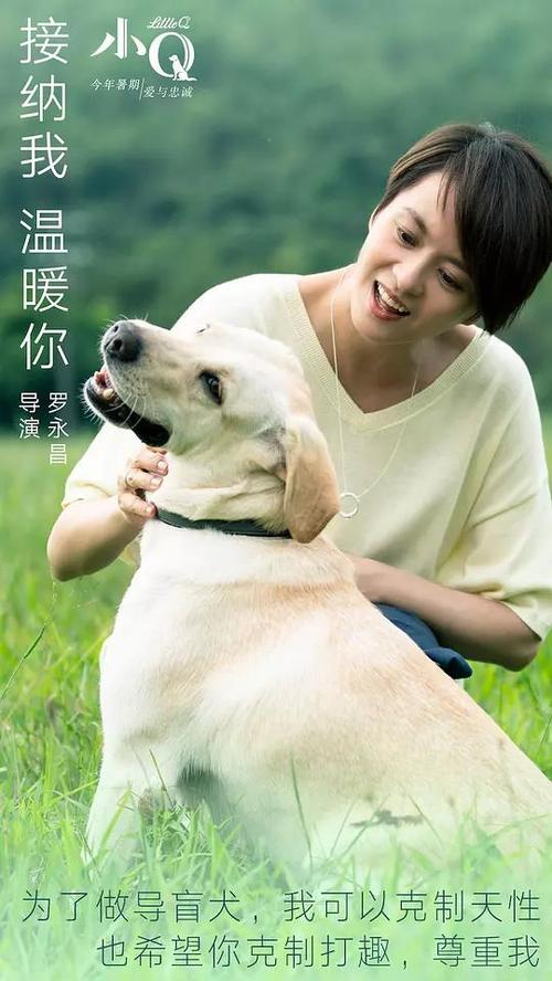 残疾证怎么造假